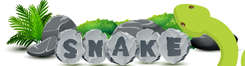 Classic Snake – Skill game on Kyoutch